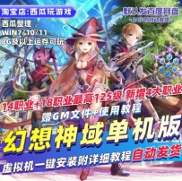 幻想神域单机版18职业125级GM无限红利时装坐骑二次元PC网游单机
